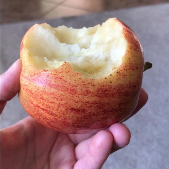 Meet your Posher, Cassidy - Picture 1 of 1